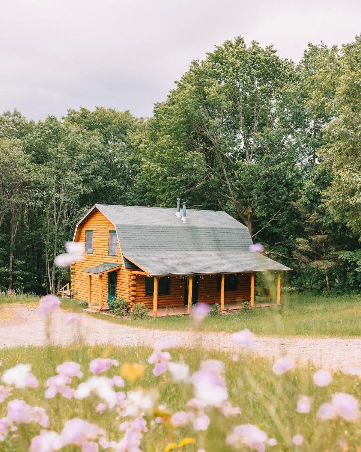 Afton Cabin Екстериор снимка